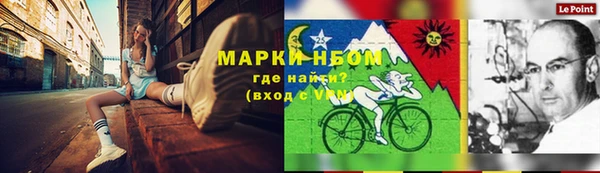 сатива Армянск