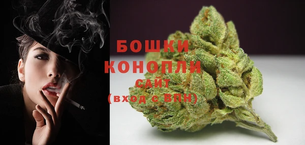 сатива Армянск