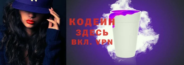 молекула духа Арсеньев