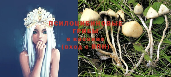 молекула духа Арсеньев