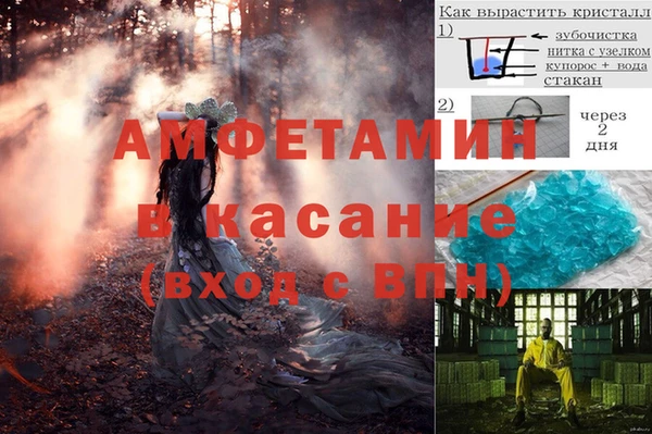 сатива Армянск