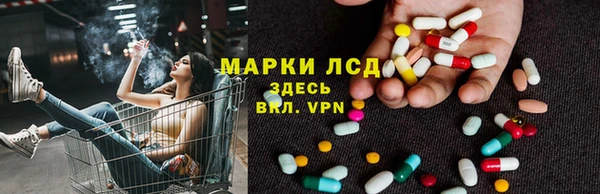 сатива Армянск