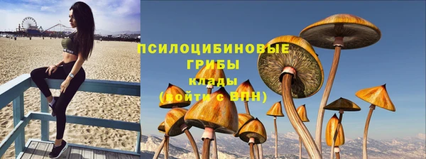 сатива Армянск