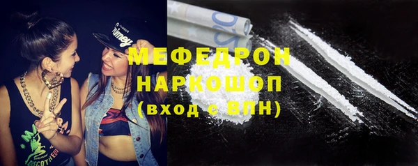 молекула духа Арсеньев